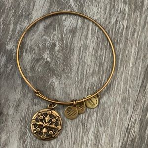Alex and ani compass bracelet